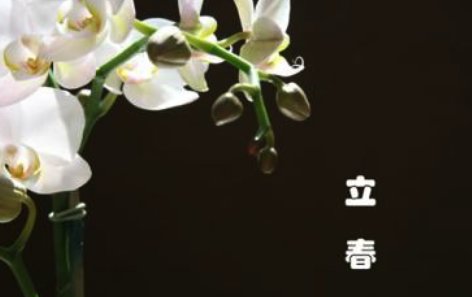 蘇柏逞:戊戌立春节旺运宜与忌