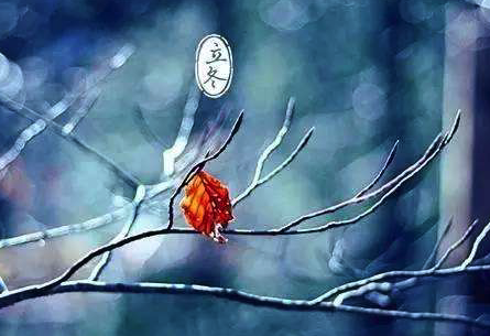 蘇柏逞:立冬,养运旺运宜忌……