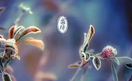 蘇柏逞:霜降—五行人养“运”法。