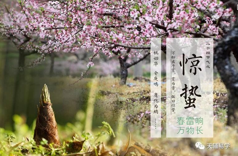 蘇柏逞:春雷振奋—惊蛰!