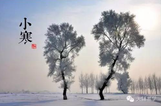 蘇柏逞:今日小寒节,进入了最寒冷的时期... ...