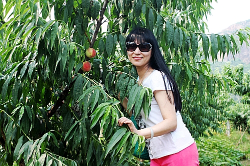 �հس���ѧ�о����ࣨ���ڰࣩ��î��������ѧ������Բ���ɹ�